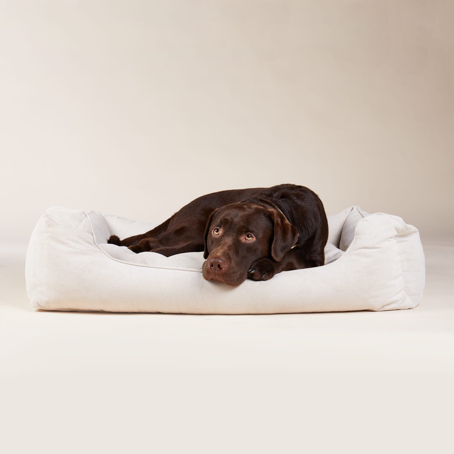 Orthopädisches Hundebett in hellem beige