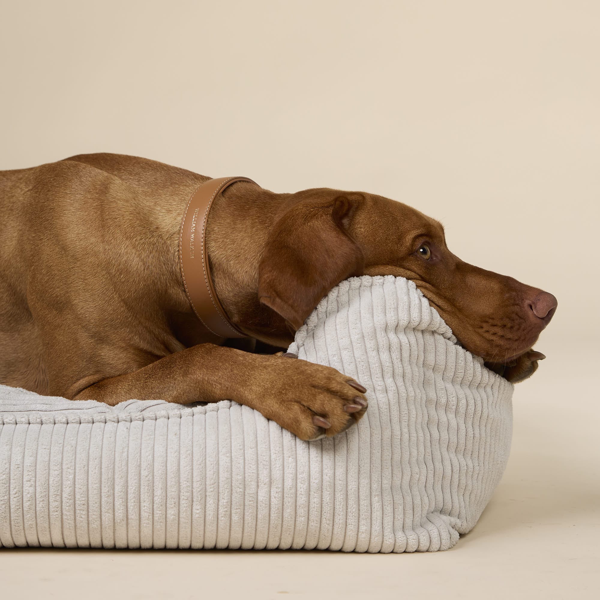 William Walker Wechselbezug für Cord Hundebett Moonlight