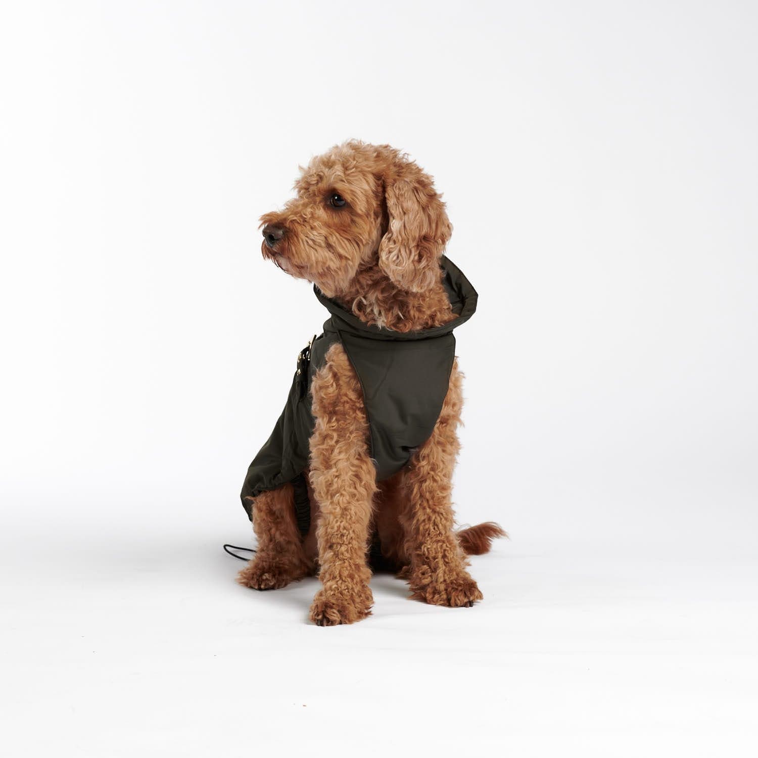 William Walker Hundemantel Superior Dark Moss