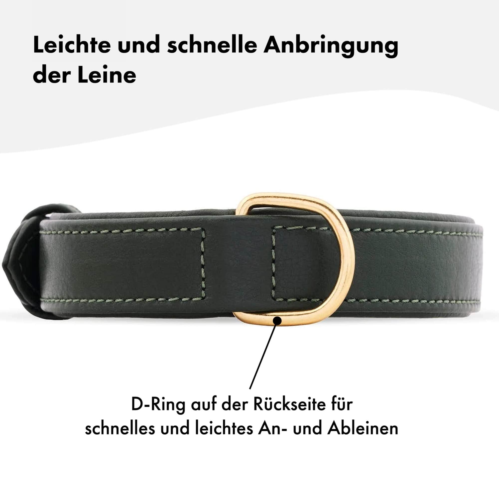 Hochwertiges Echtleder-Hundehalsband - Verstellbar, robust und ideal für kleine und große Hunde in dunklem Grün mit goldenen Schnallen. 