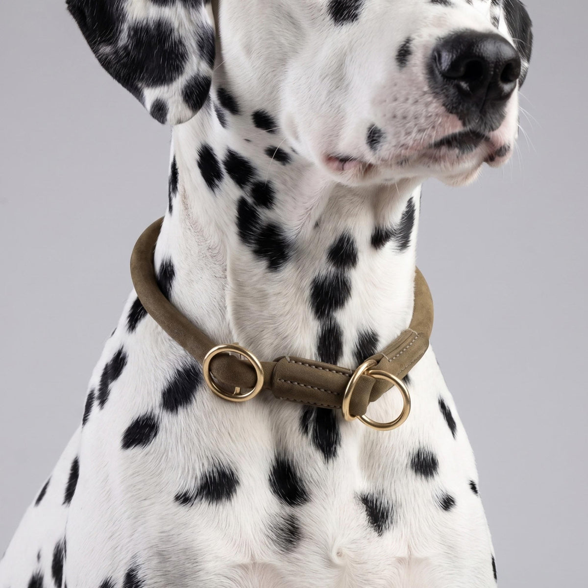 William Walker Collier martingale rond en cuir