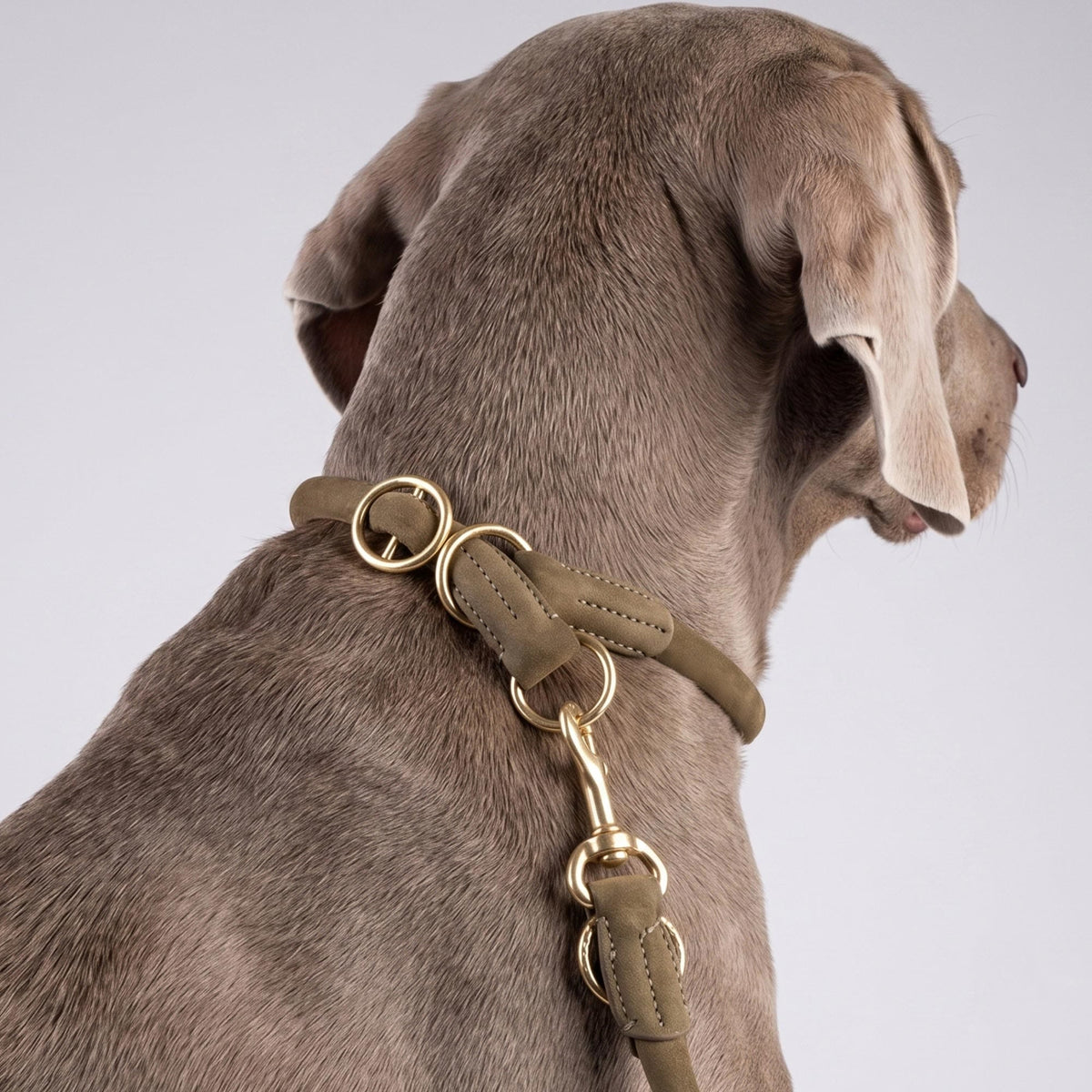 William Walker Round leather dog leash