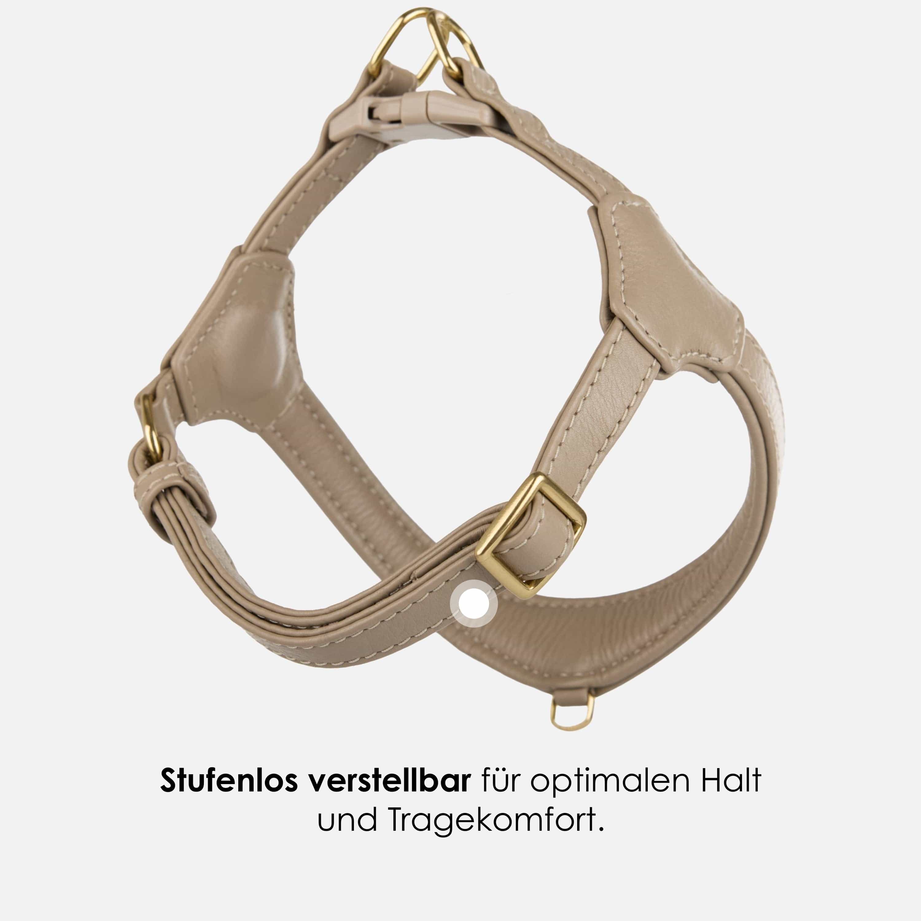 William Walker Step-In Leder Geschirr Pico für kleine Hunde