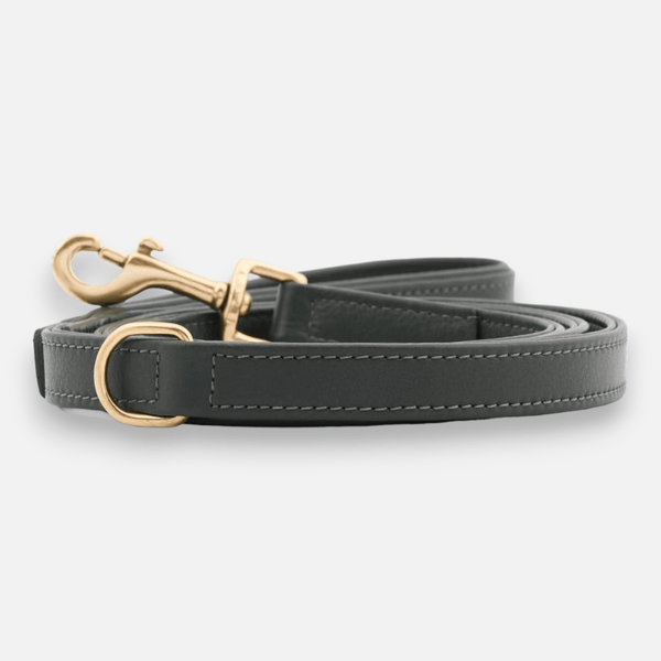 Correa para perros de cuero de alta calidad Dark Moss (verde bosque)