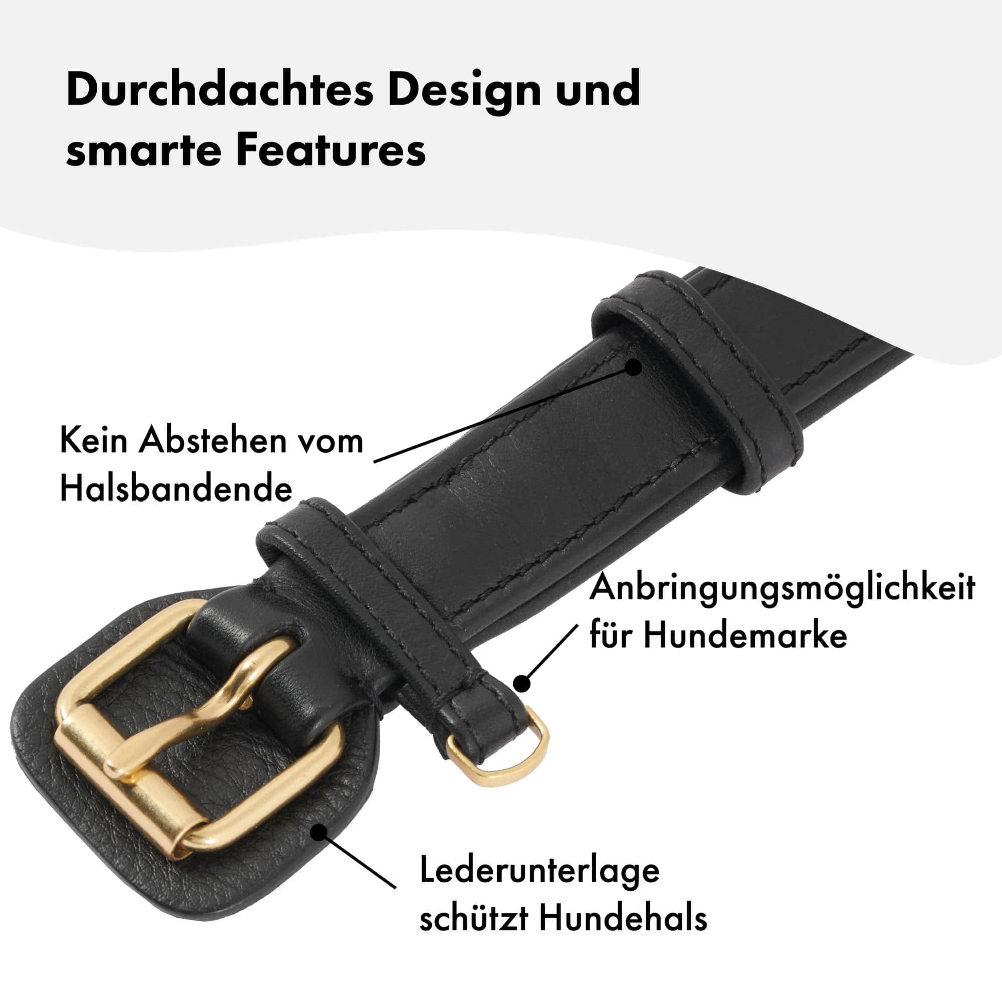 Hochwertiges Echtleder-Hundehalsband - Verstellbar, robust und ideal für kleine und große Hunde in zeitlosem, luxuriösem Schwarz und mit goldenen Schnallen. 