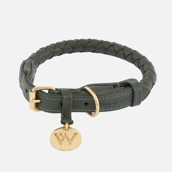 Collar para perros de cuero Twisted Dark Moss (verde bosque)