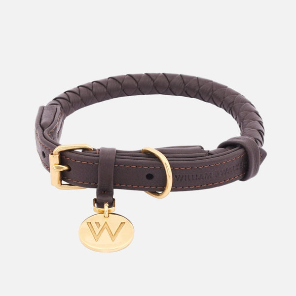 Collar para perros de cuero Twisted Earth (Marrón)