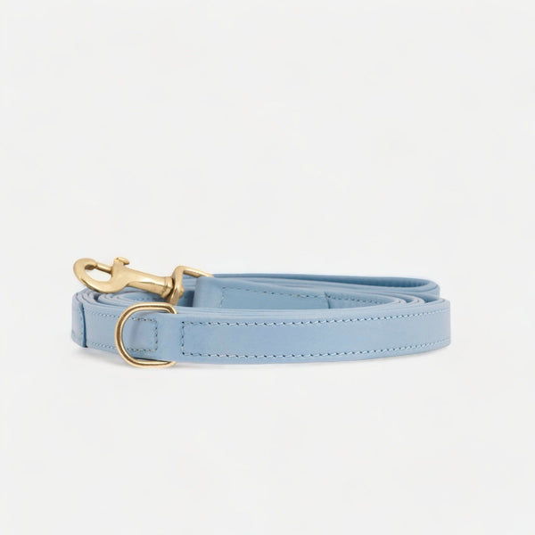 Correa para perros de cuero de alta calidad Sky (azul bebé)