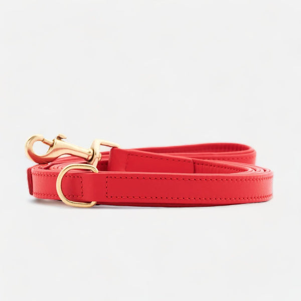 Correa para perros de cuero de alta calidad Chili (Rojo)