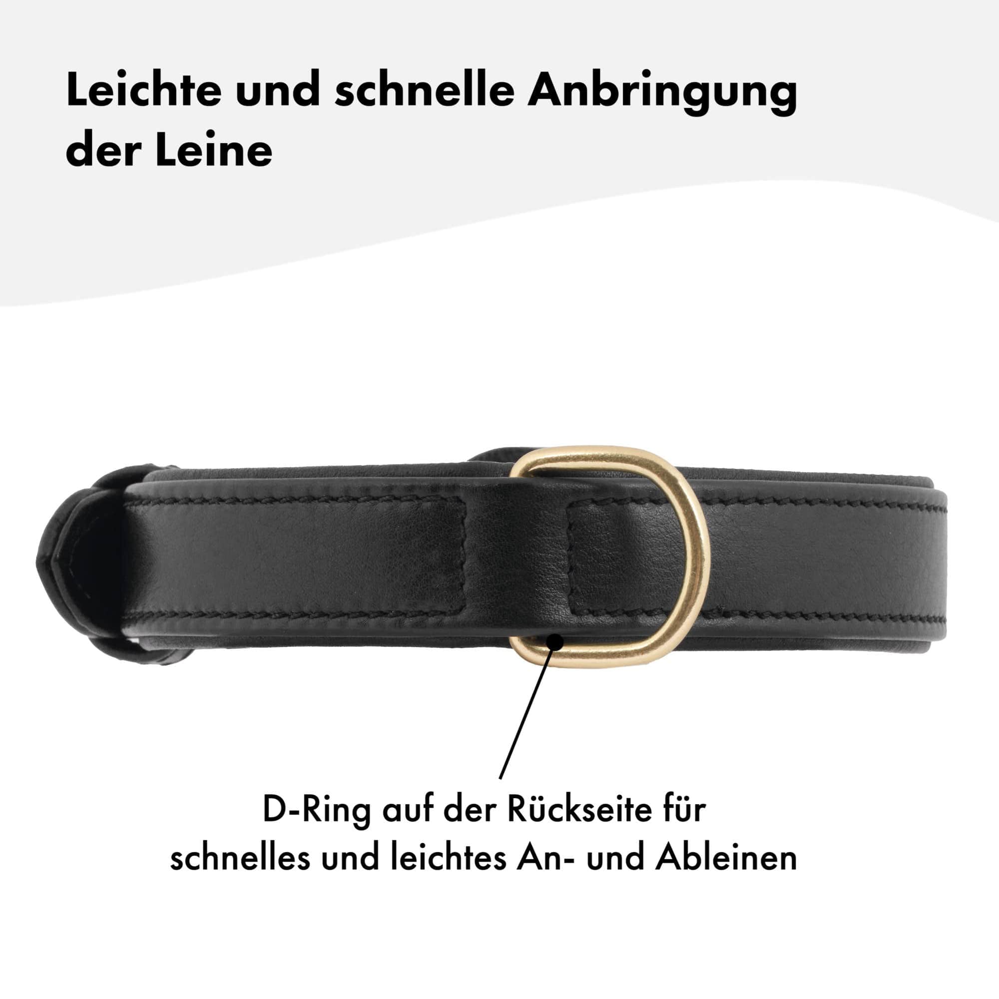 Hochwertiges Echtleder-Hundehalsband - Verstellbar, robust und ideal für kleine und große Hunde in zeitlosem, luxuriösem Schwarz und mit goldenen Schnallen. 