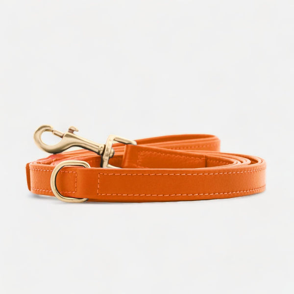 Correa para perros de cuero de alta calidad Amber (Naranja)