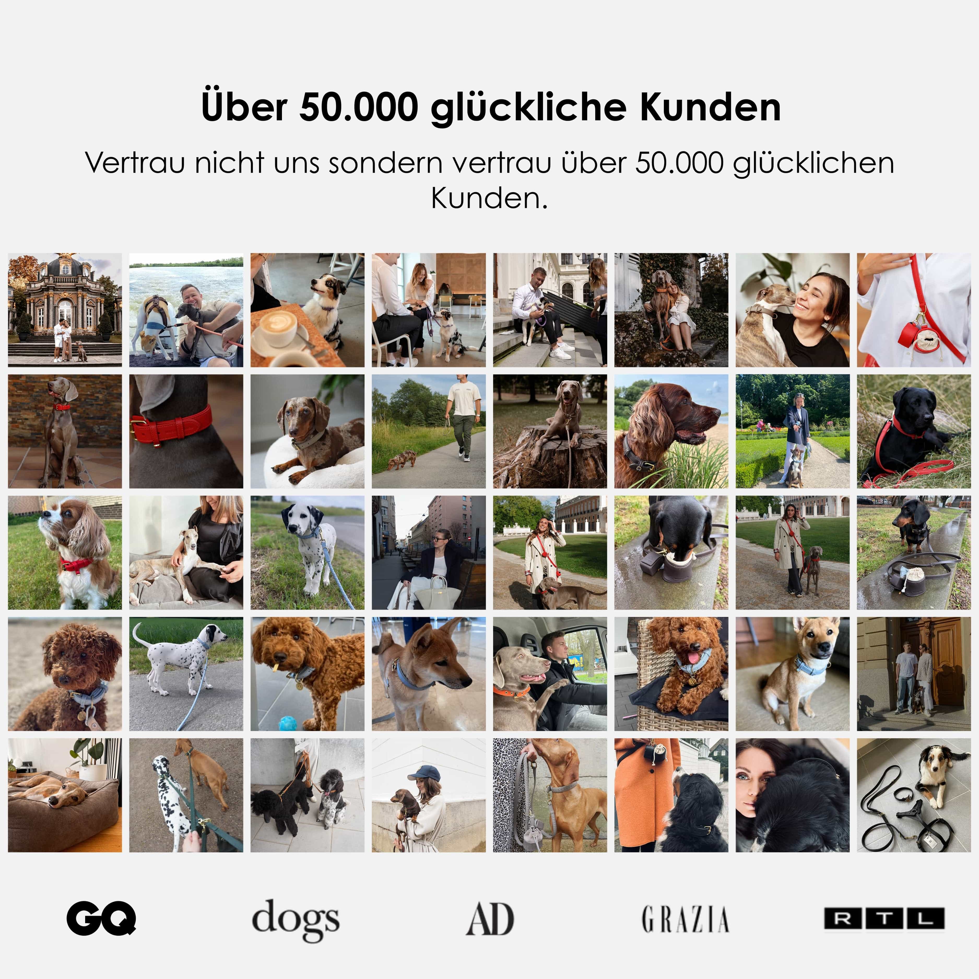 William Walker Hundeleine aus wasserfestem Nubukleder stufenlos verstellbar Handsfree