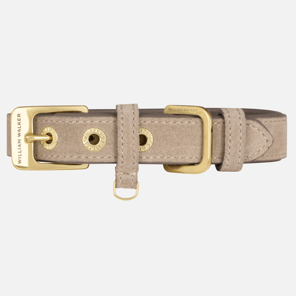 Collar para perros ante Pebble (topo)