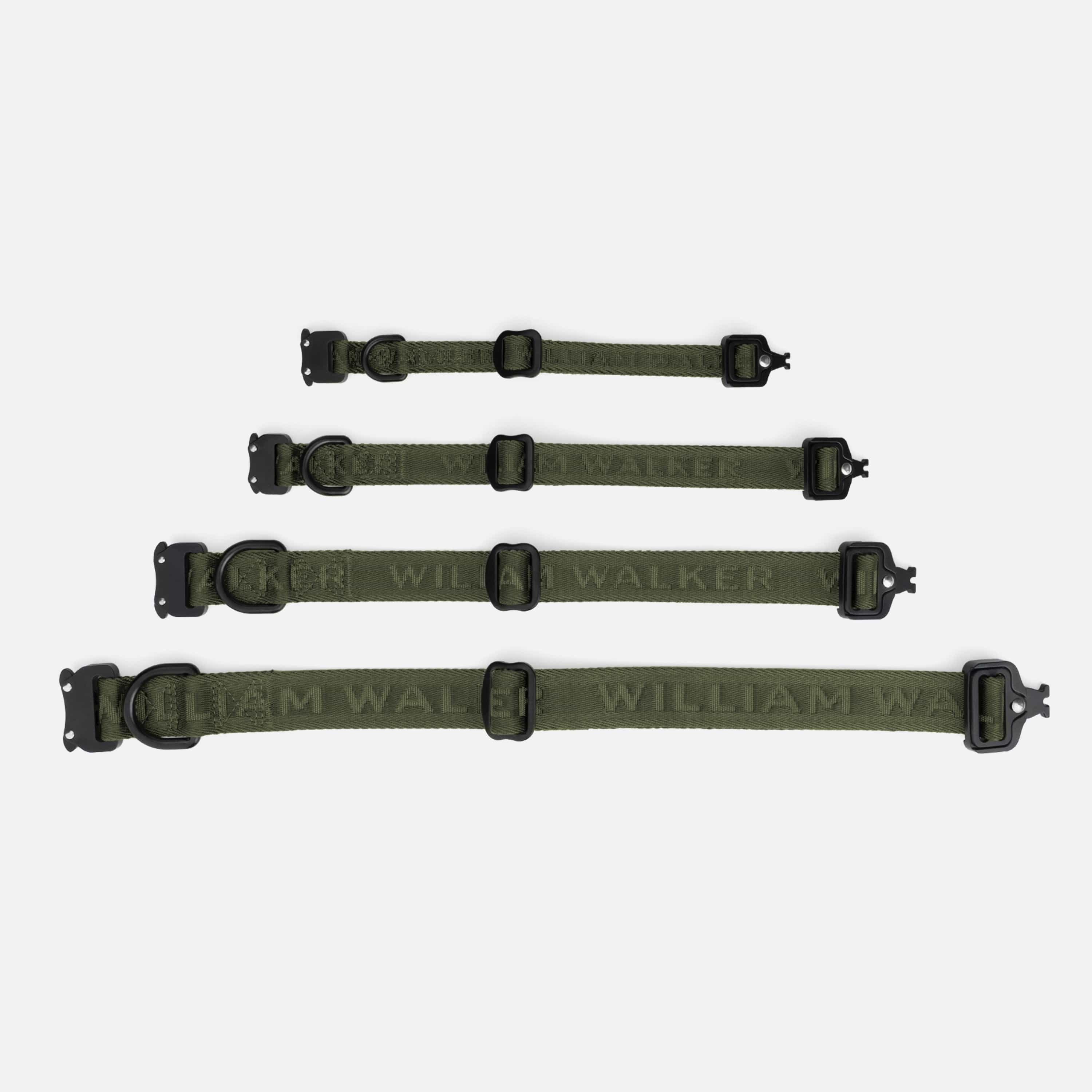 William Walker Jacquard Nylon Hundehalsband Forest (grün)