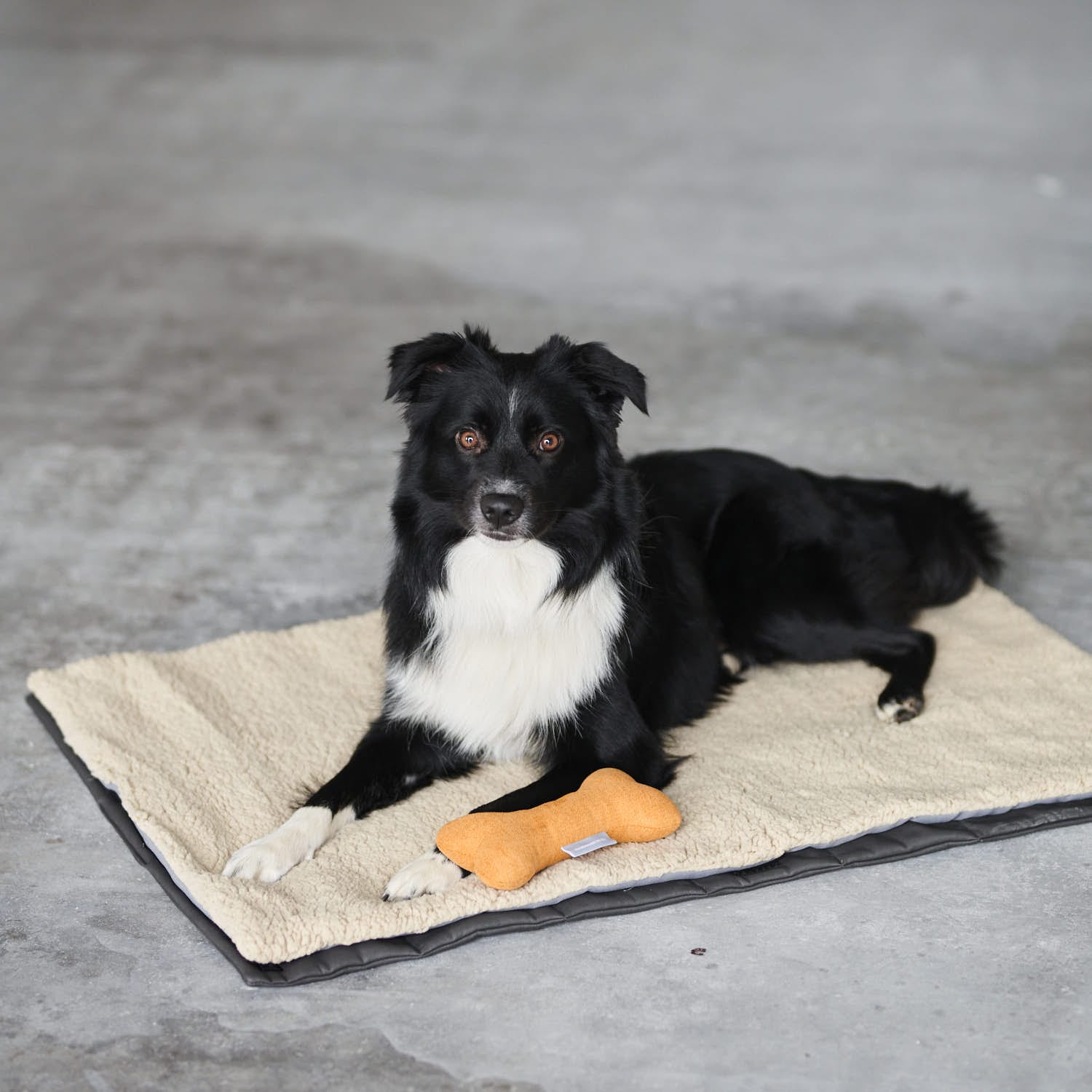 William Walker Hundematte Travel Superior Teddy