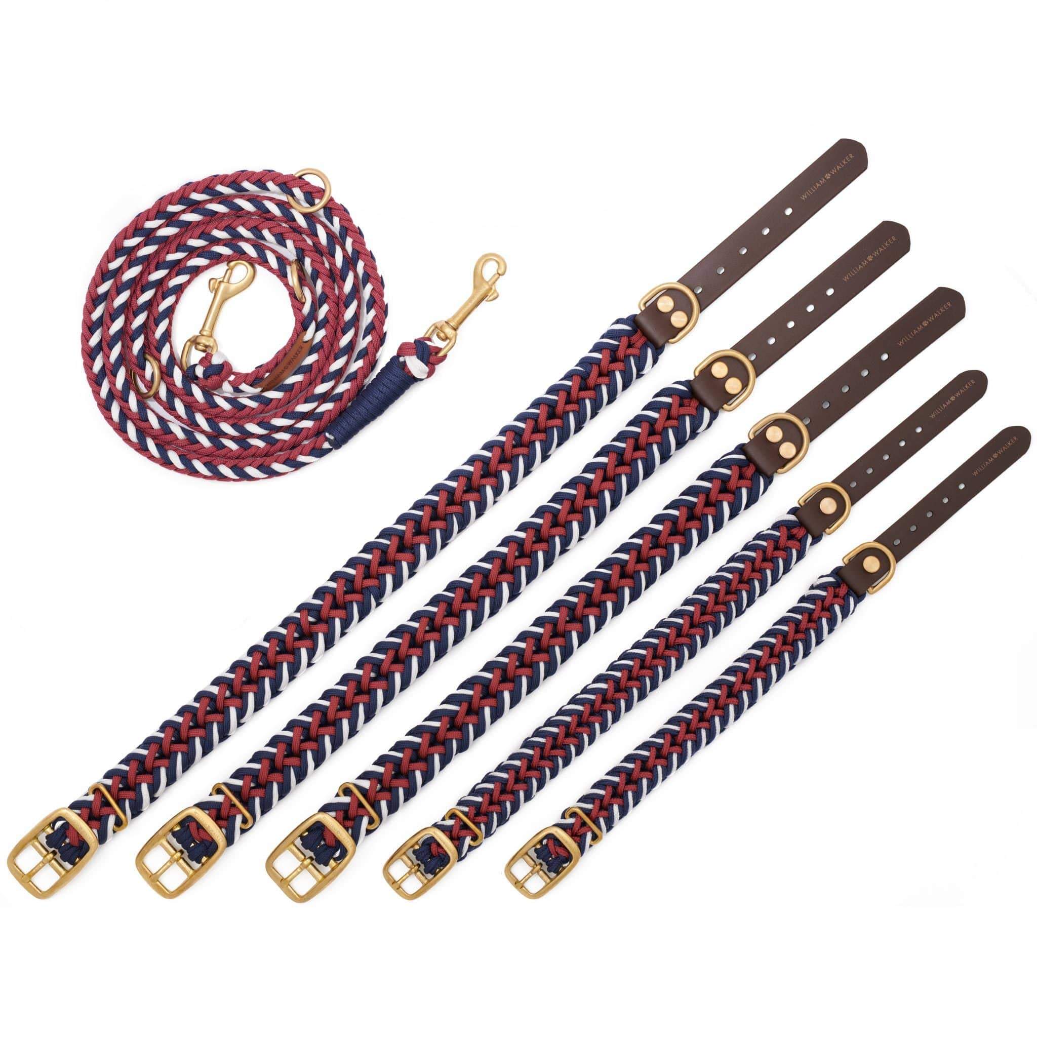 Collar para perros Paracord Biothane Royal // Limitado
